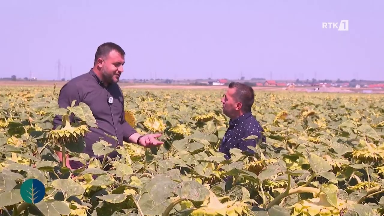 RTK Lajmet Qendrore 6